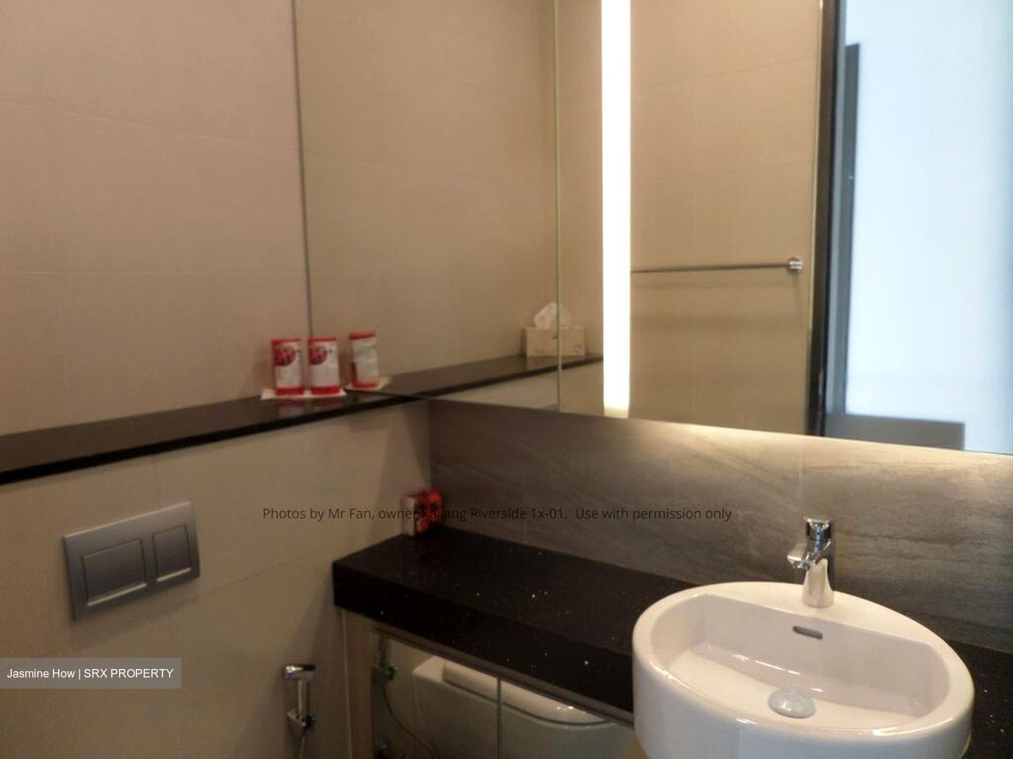 Kallang Riverside (D12), Apartment #499947961